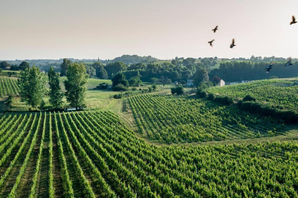 Countryhome At Winery Chateau Camponac Bourg-sur-Gironde