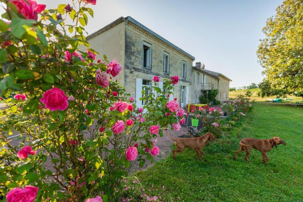 Holiday home Countryhome At Winery Chateau Camponac